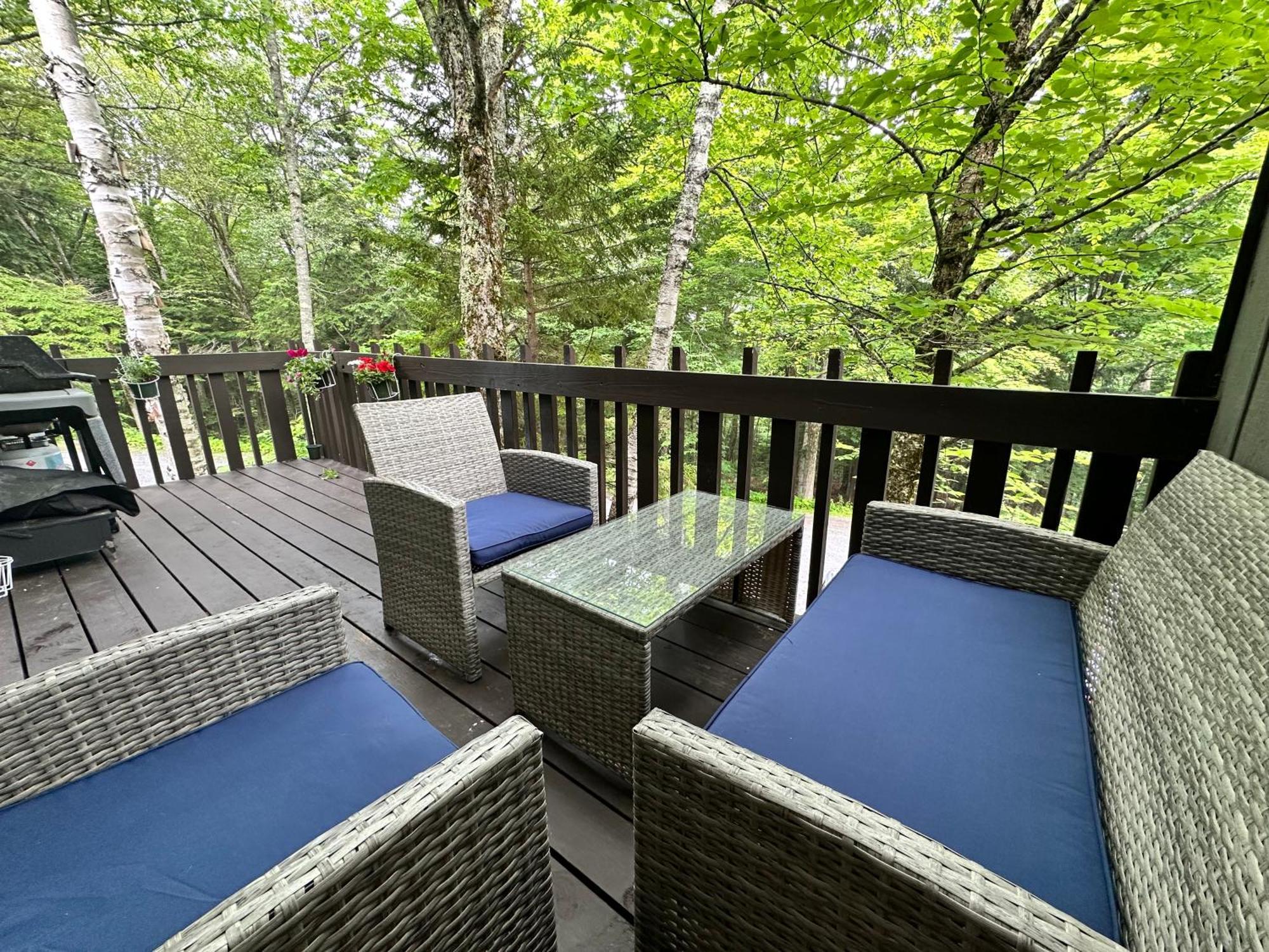 Vermont Getaway! Newly Renovated! Stratton Valley Ngoại thất bức ảnh